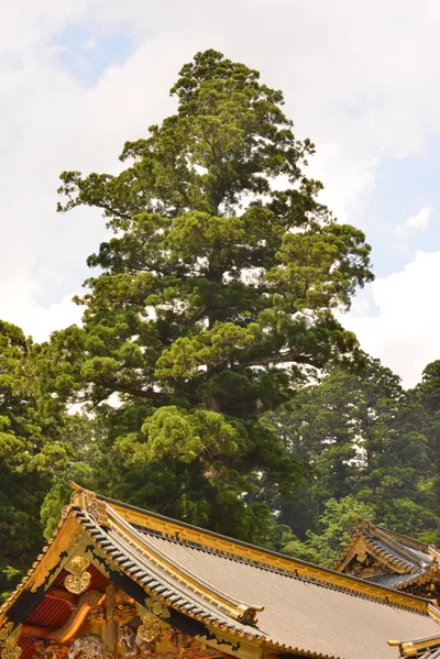 DSC_3856 (Large).JPG